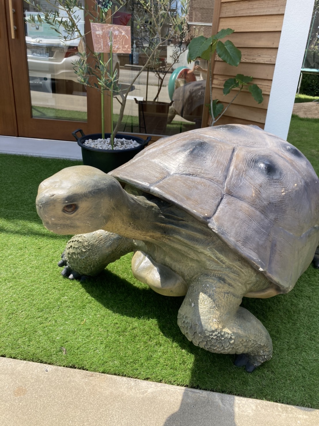 マカロン専門店 ココマカロン