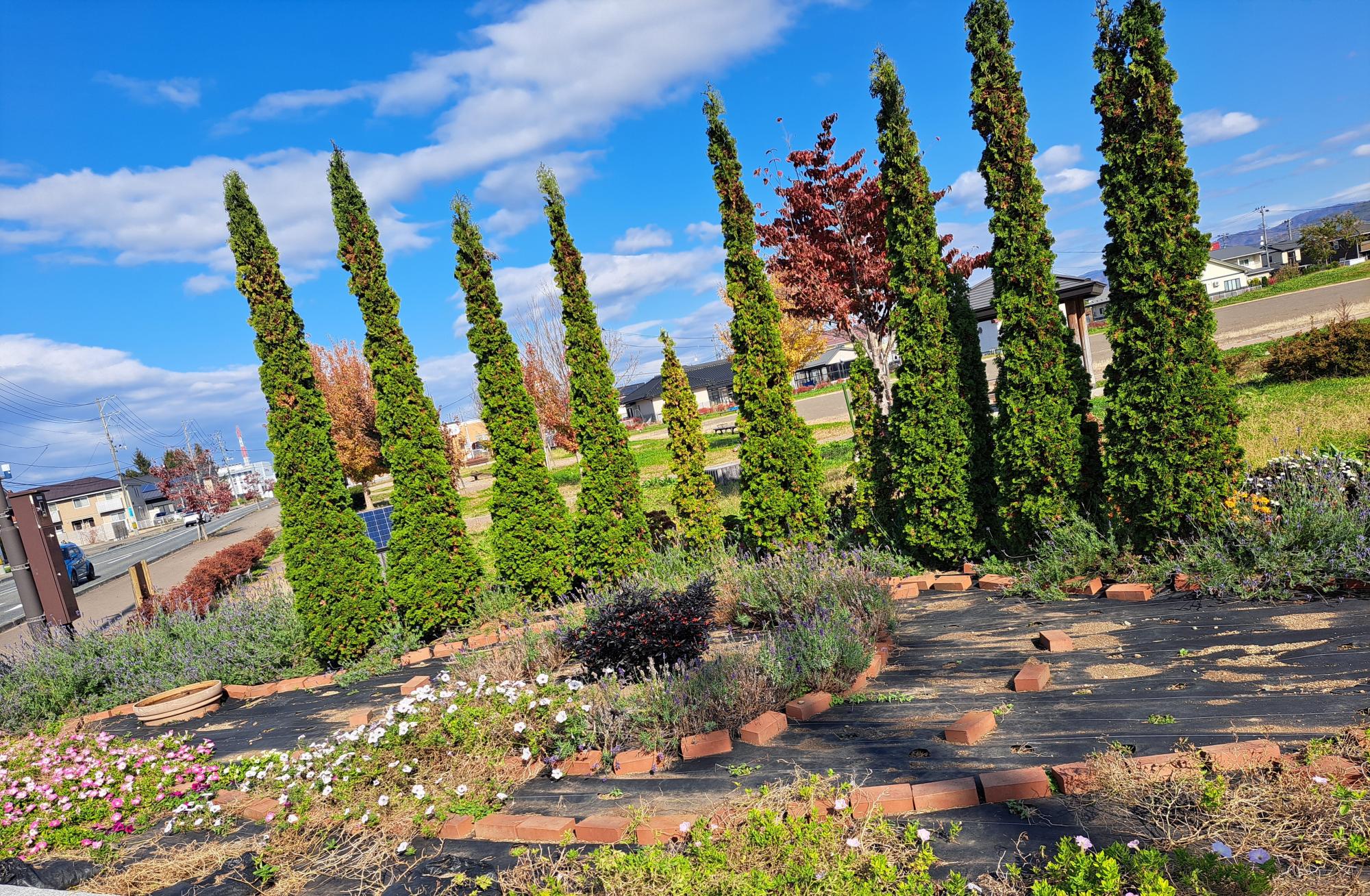 ぽちかち飯岡公園