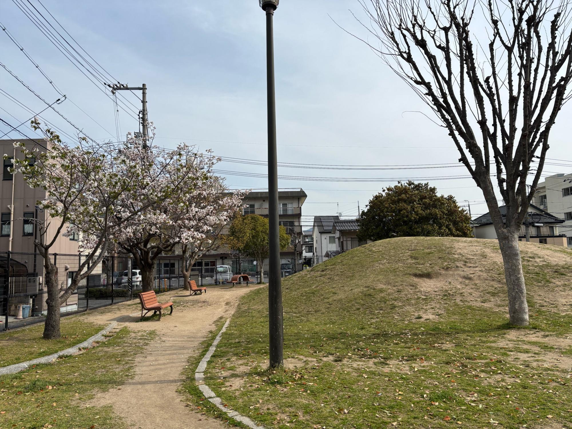 みどりの公園(山本第七公園)