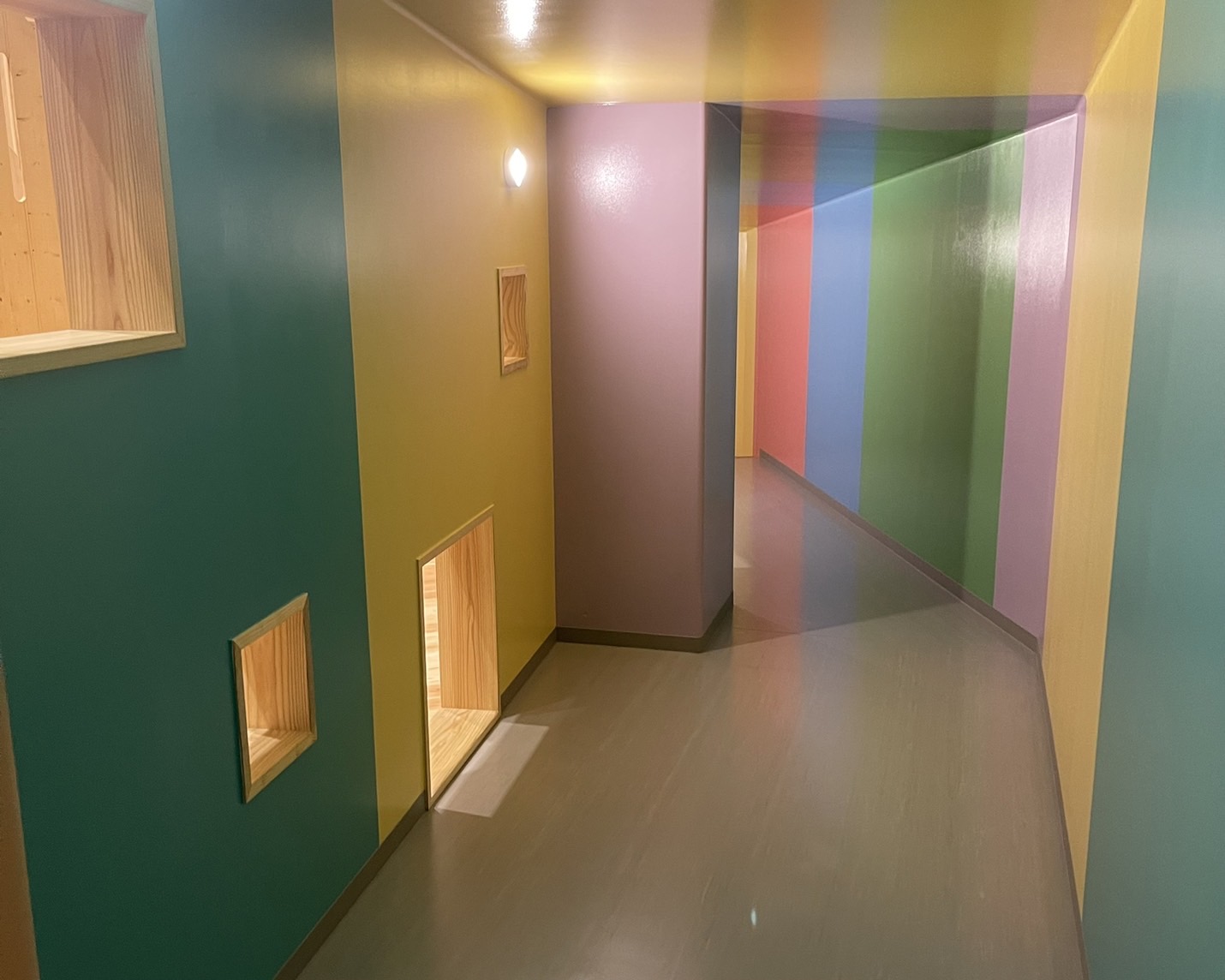 もりのひみつきち