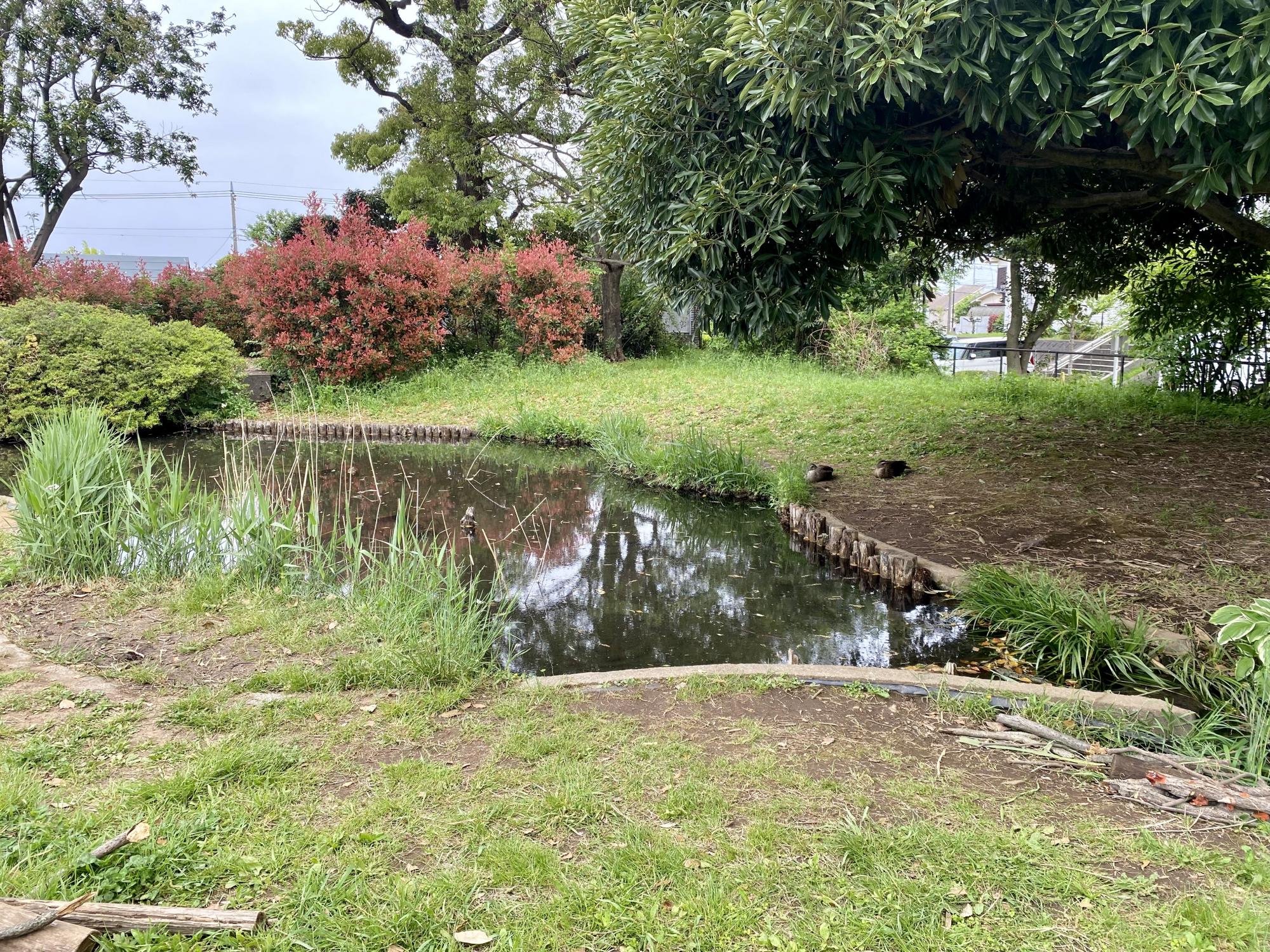 谷戸せせらぎ公園