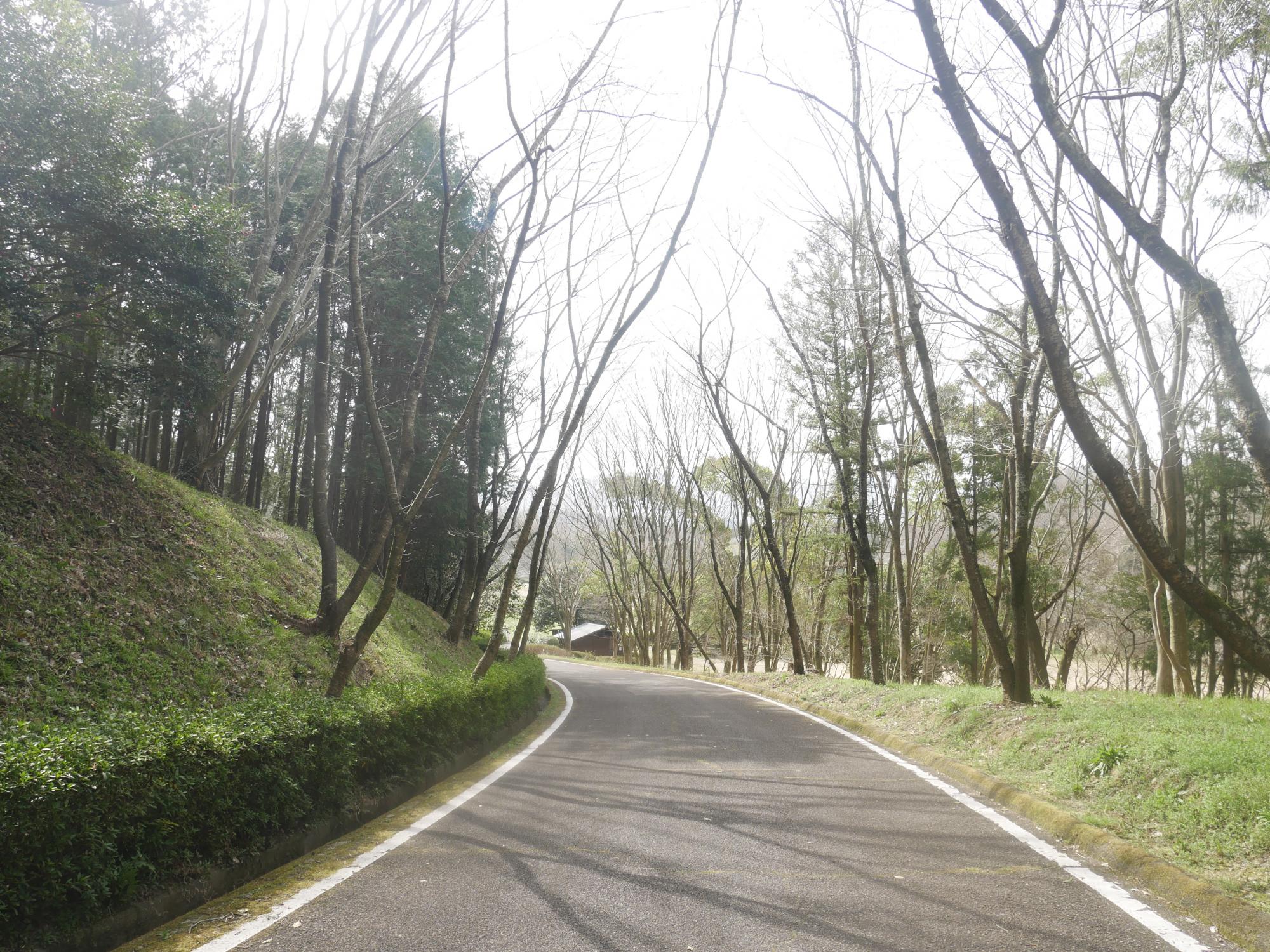 香川県満濃池森林公園