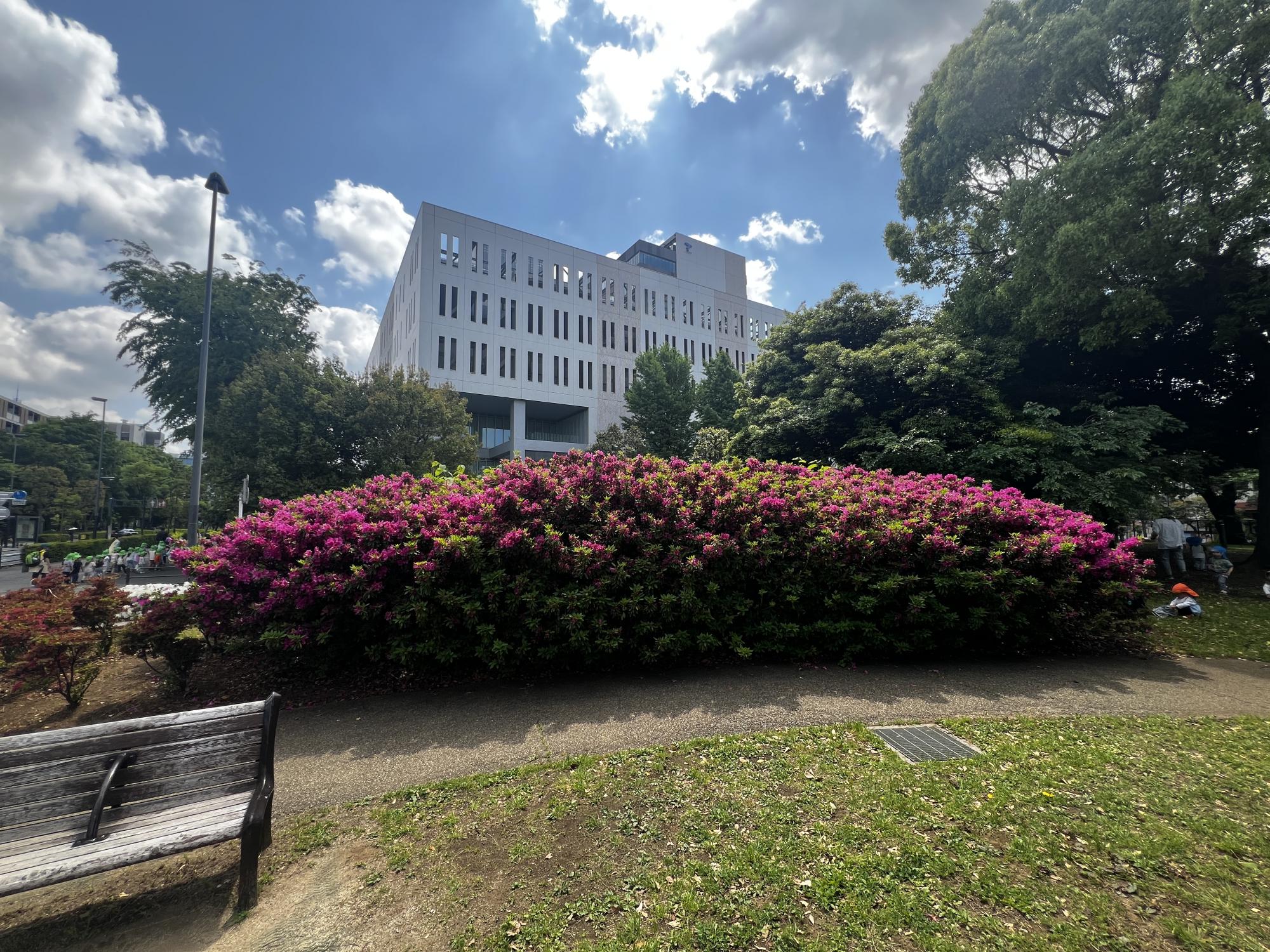 高円寺北一みどり公園