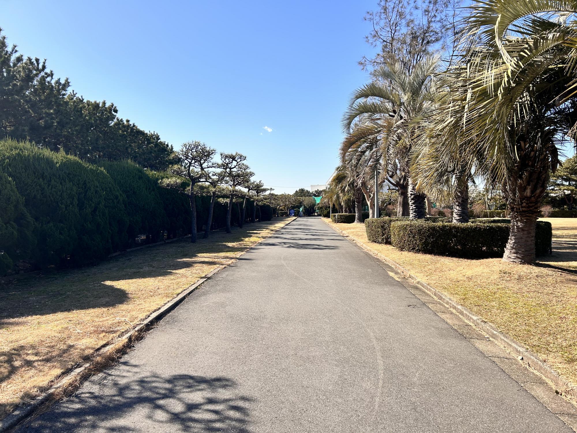 ふなばし三番瀬海浜公園