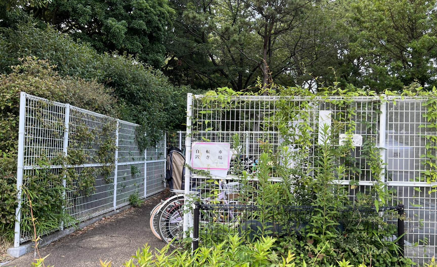 新長島川親水公園