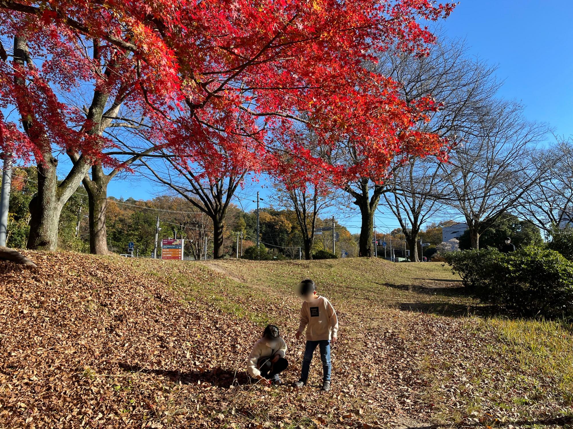 愛知森林公園