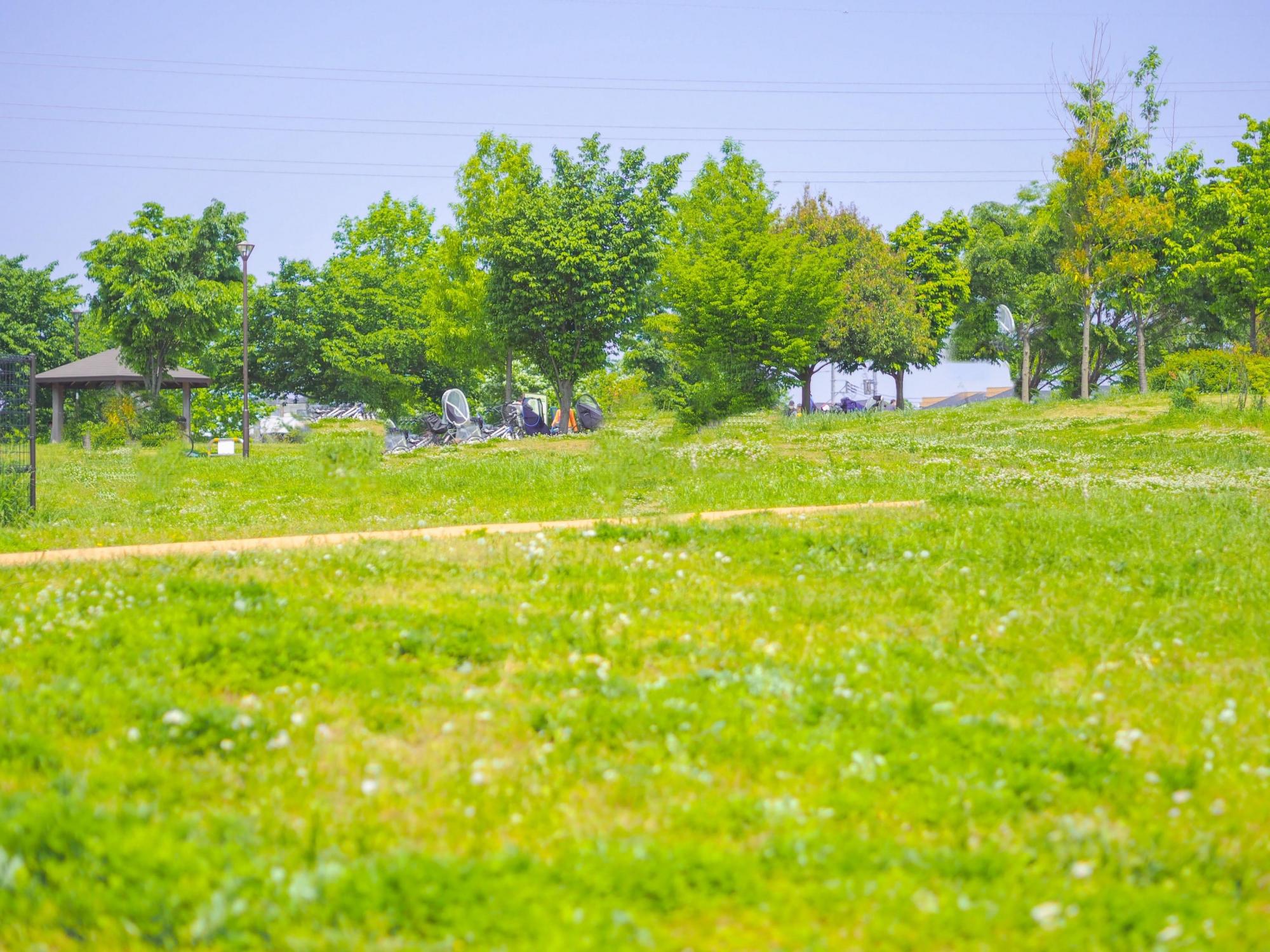 都立東伏見公園