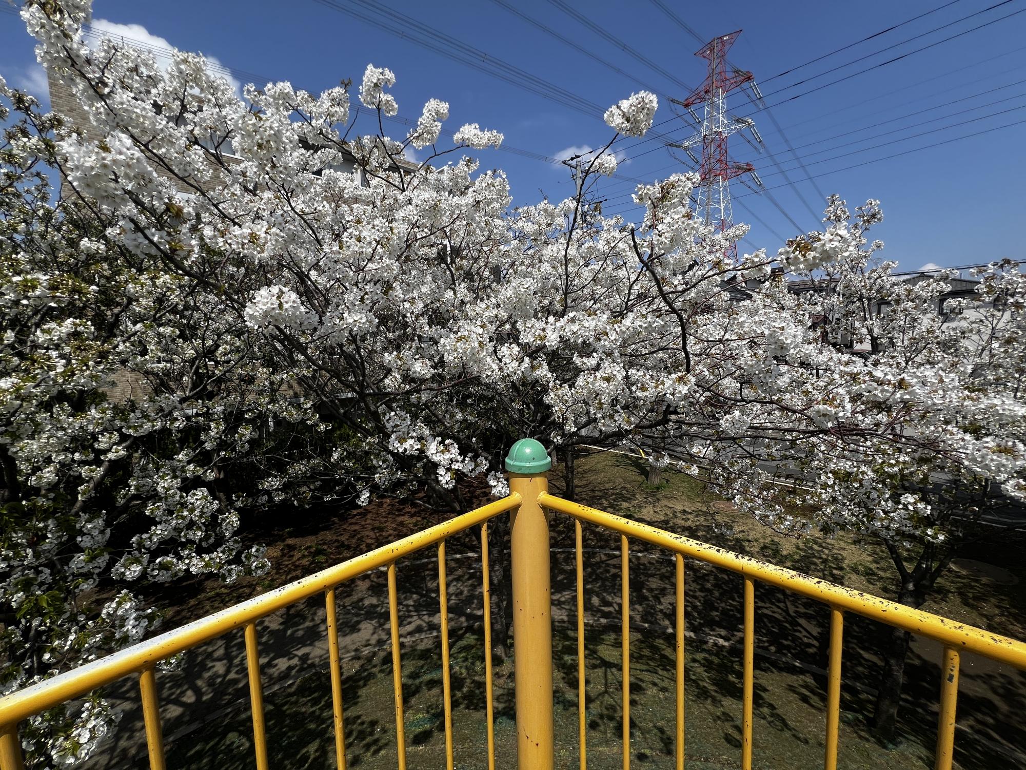 富士見第1街区公園（ローラー公園）