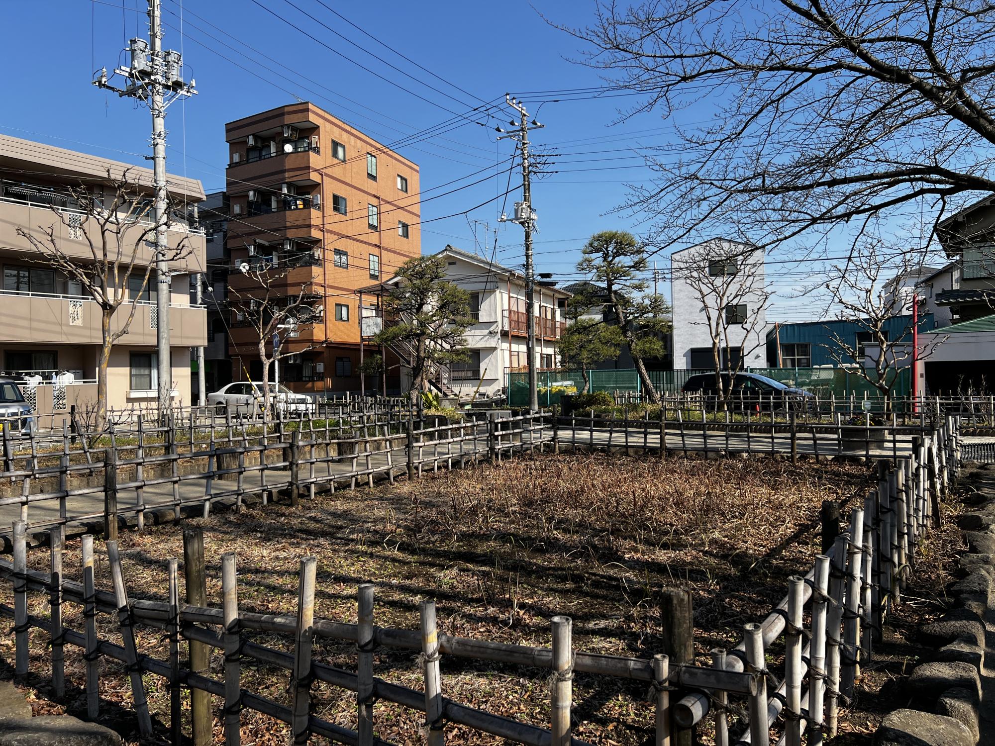 江戸川区立新堀しゃくやく公園