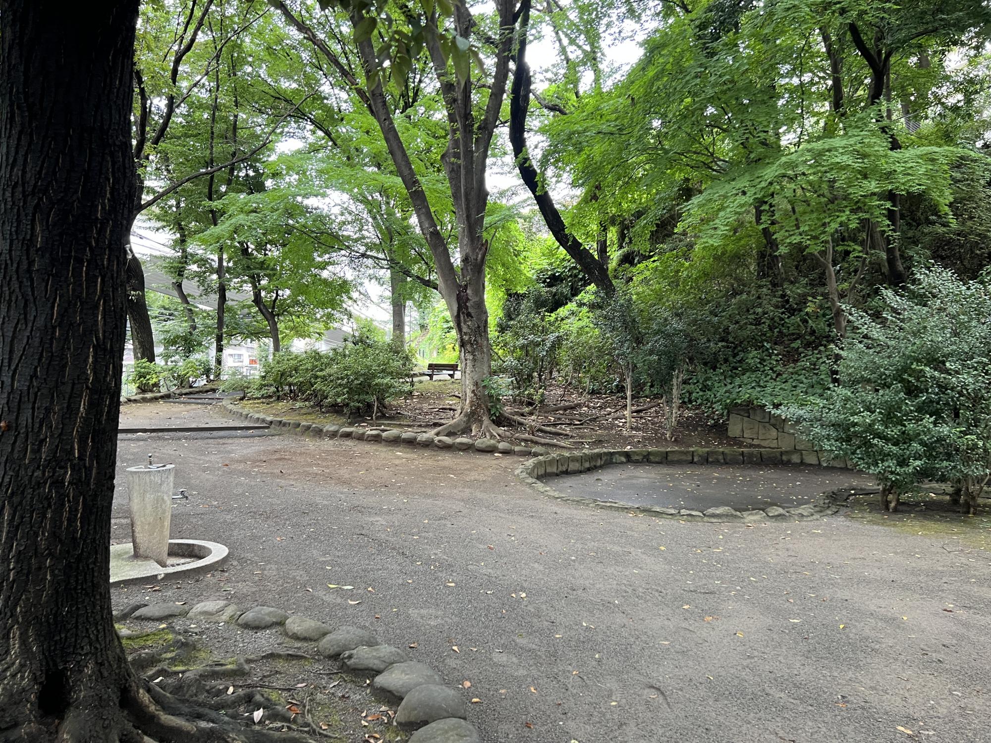 中台しいのき公園