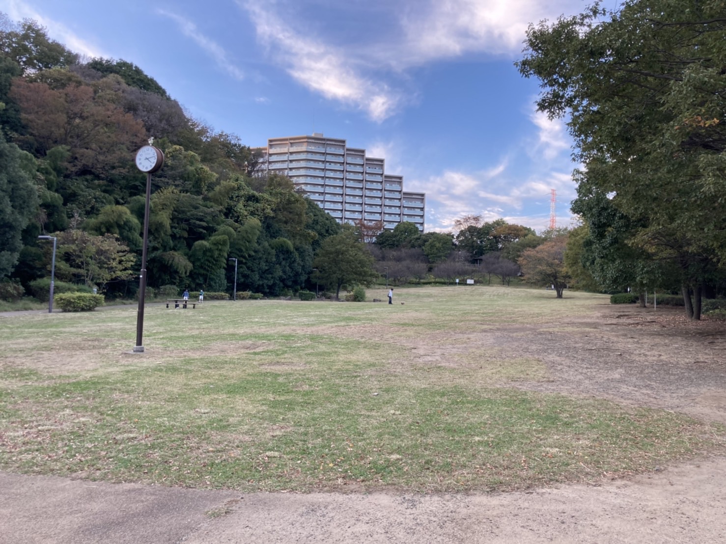 山田富士公園