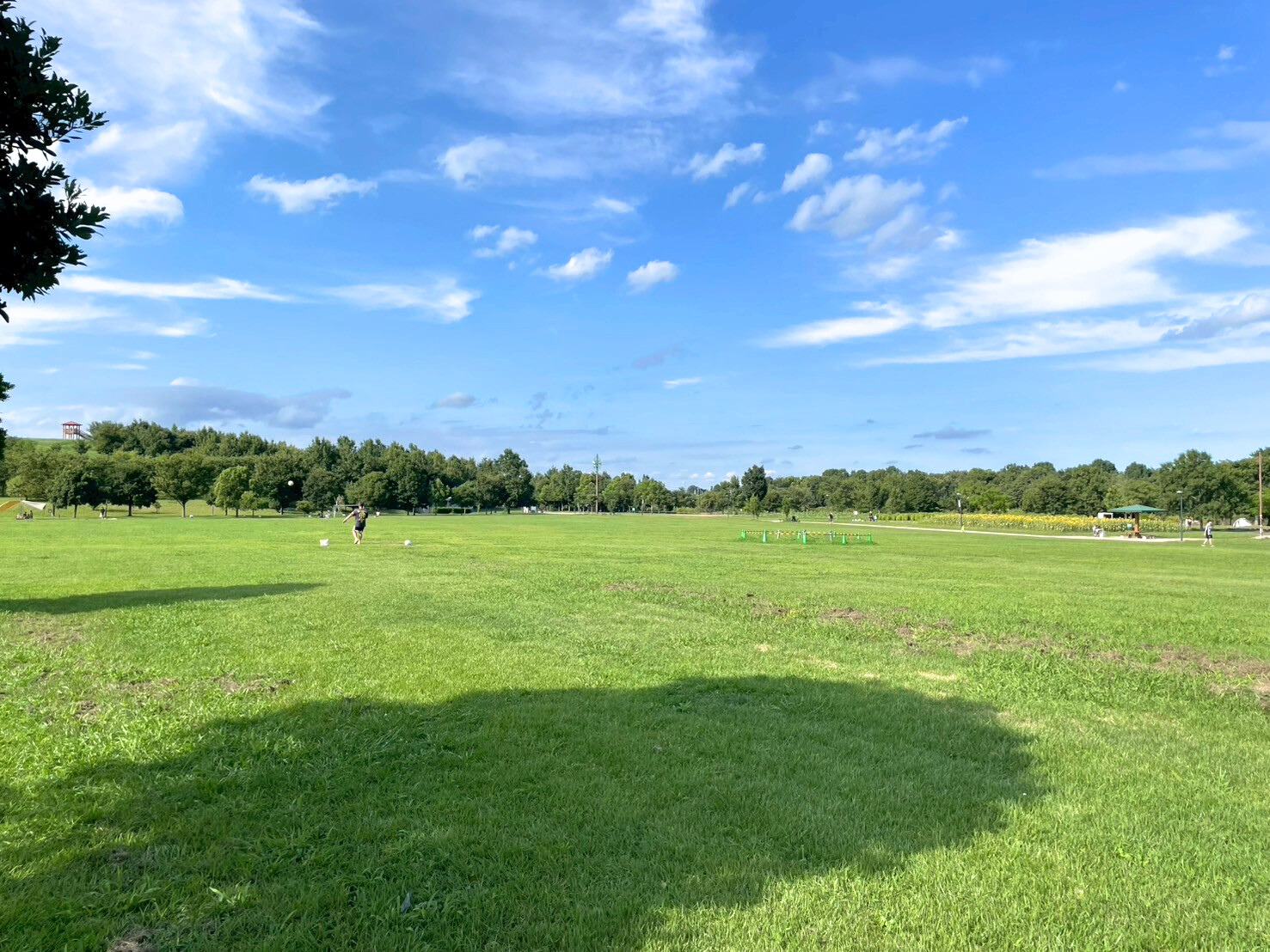 まつぶし緑の丘公園