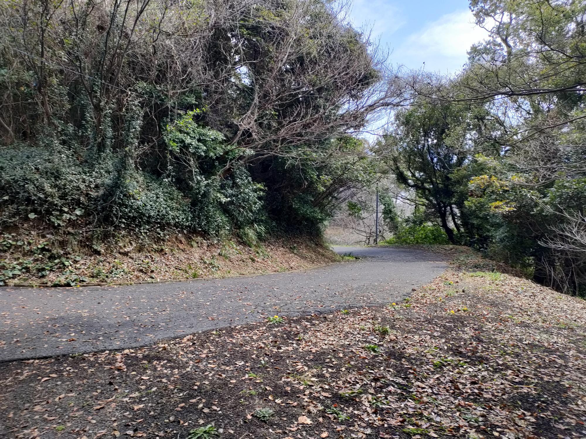 鹿部山公園
