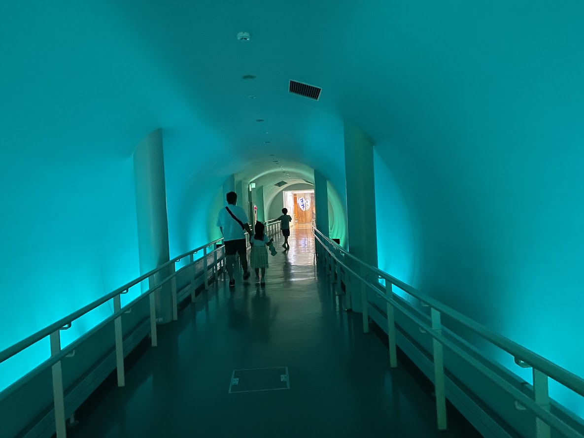 岩手県立児童館 いわて子どもの森