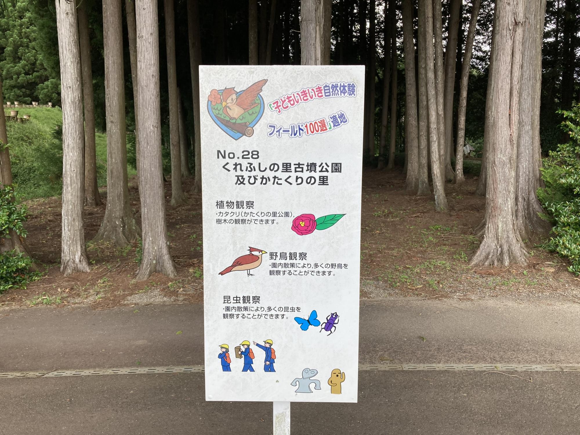 くれふしの里 古墳公園