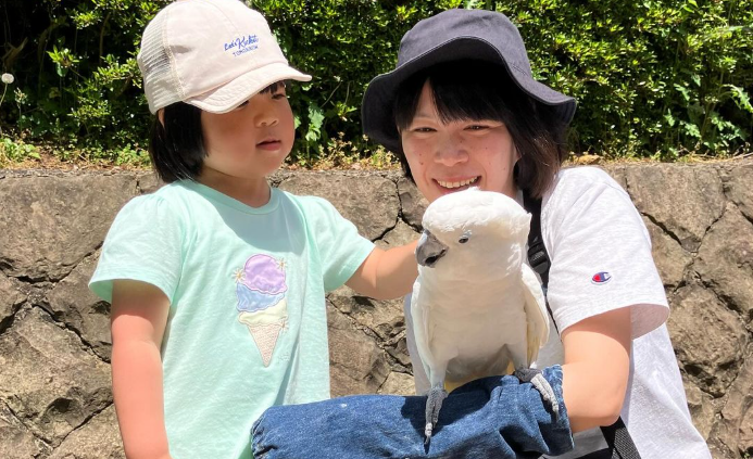 足羽山公園遊園地