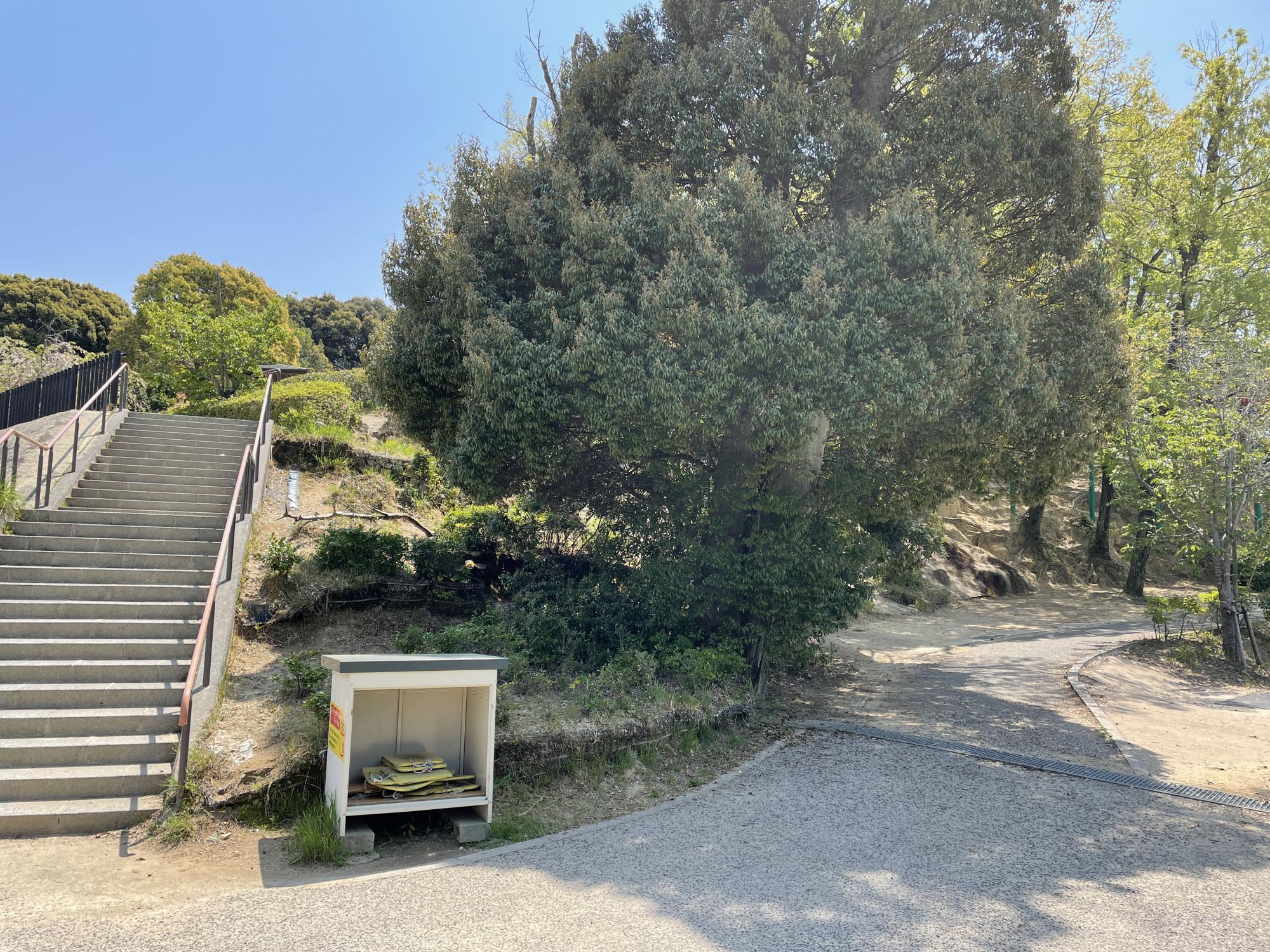 下松スポーツ公園/冒険の森