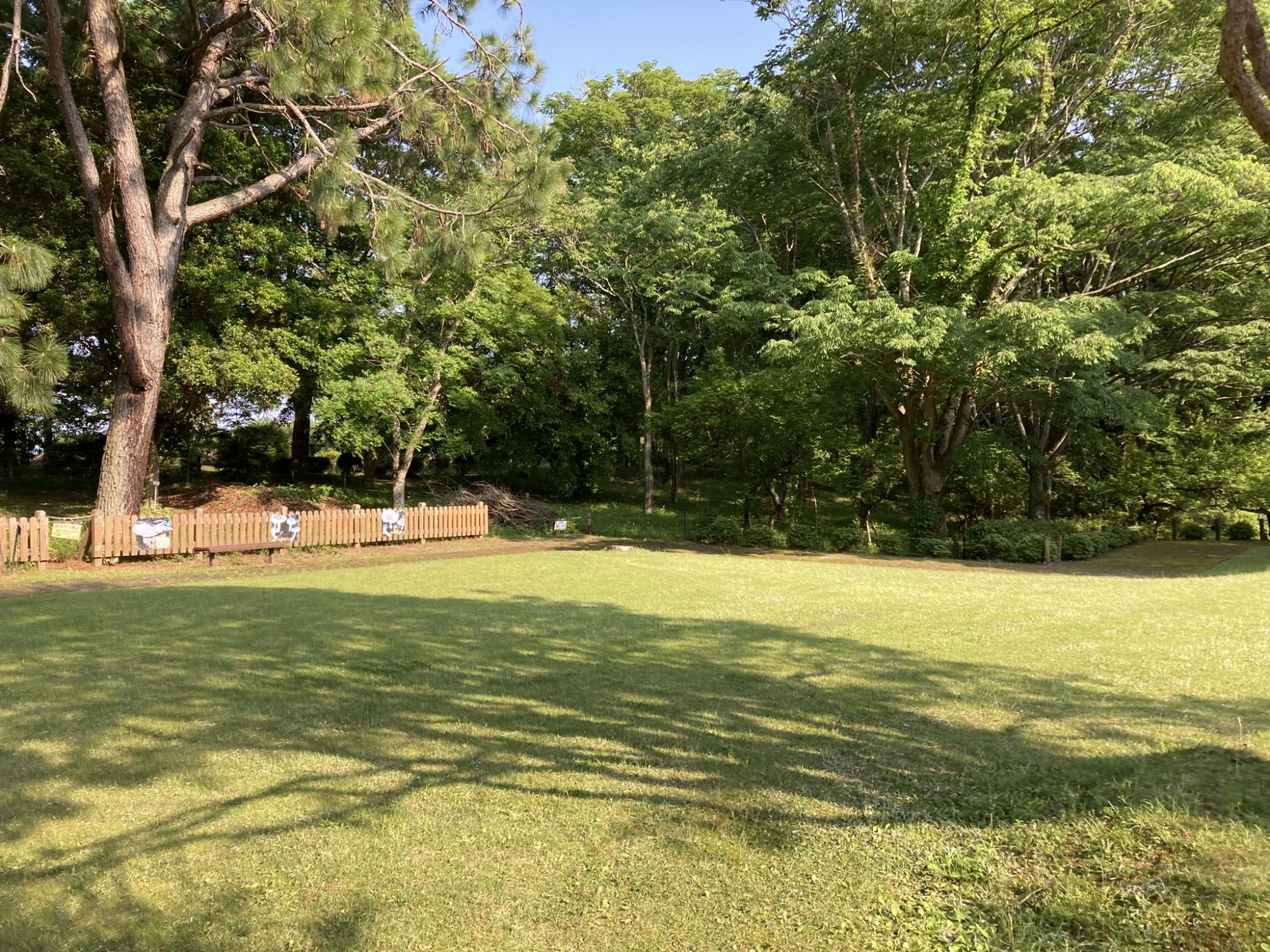 茨城県きのこ博士館