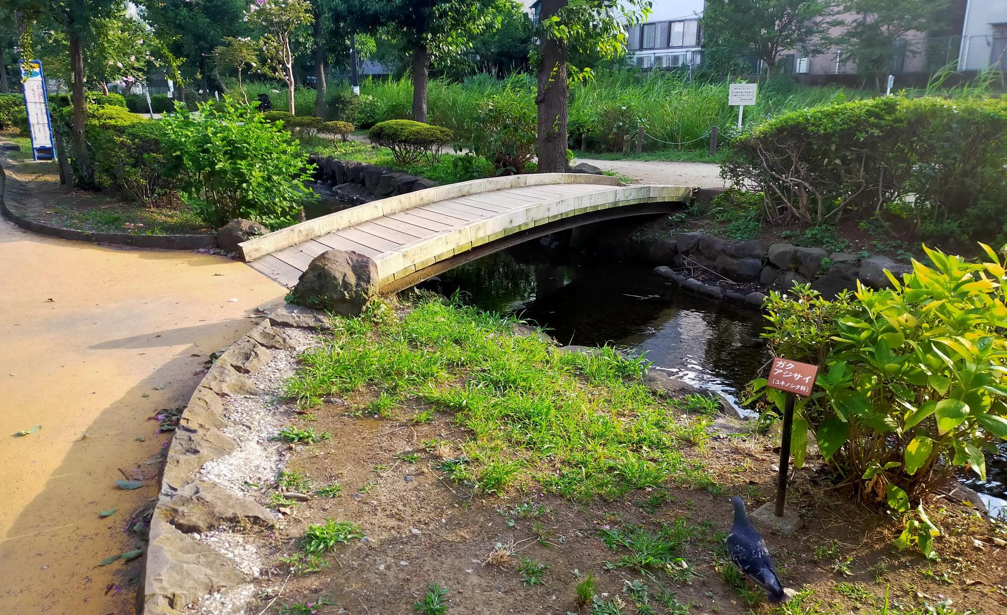 大横川親水公園