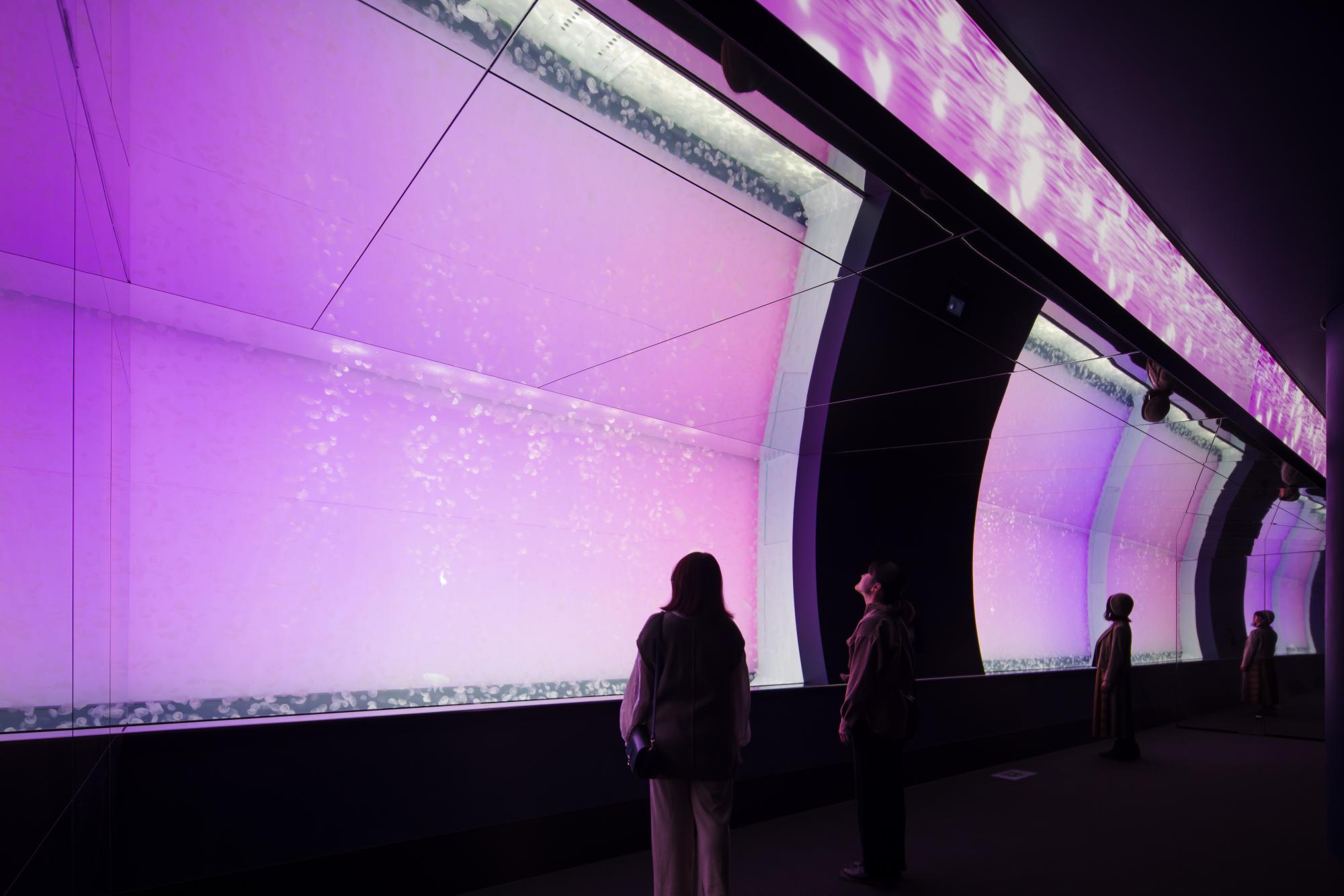 アクアワールド茨城県大洗水族館