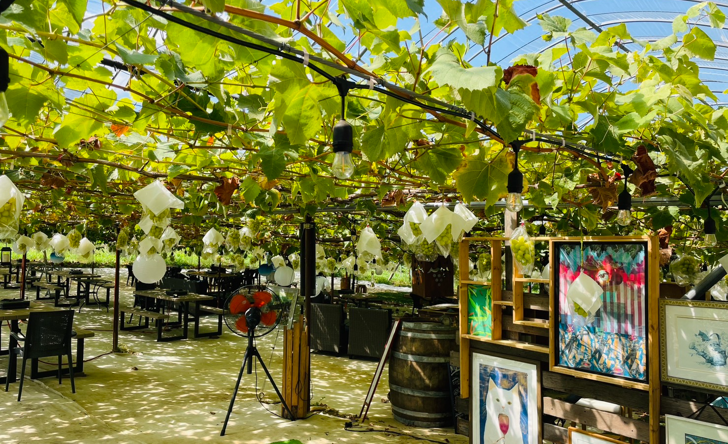 やまふじぶどう園