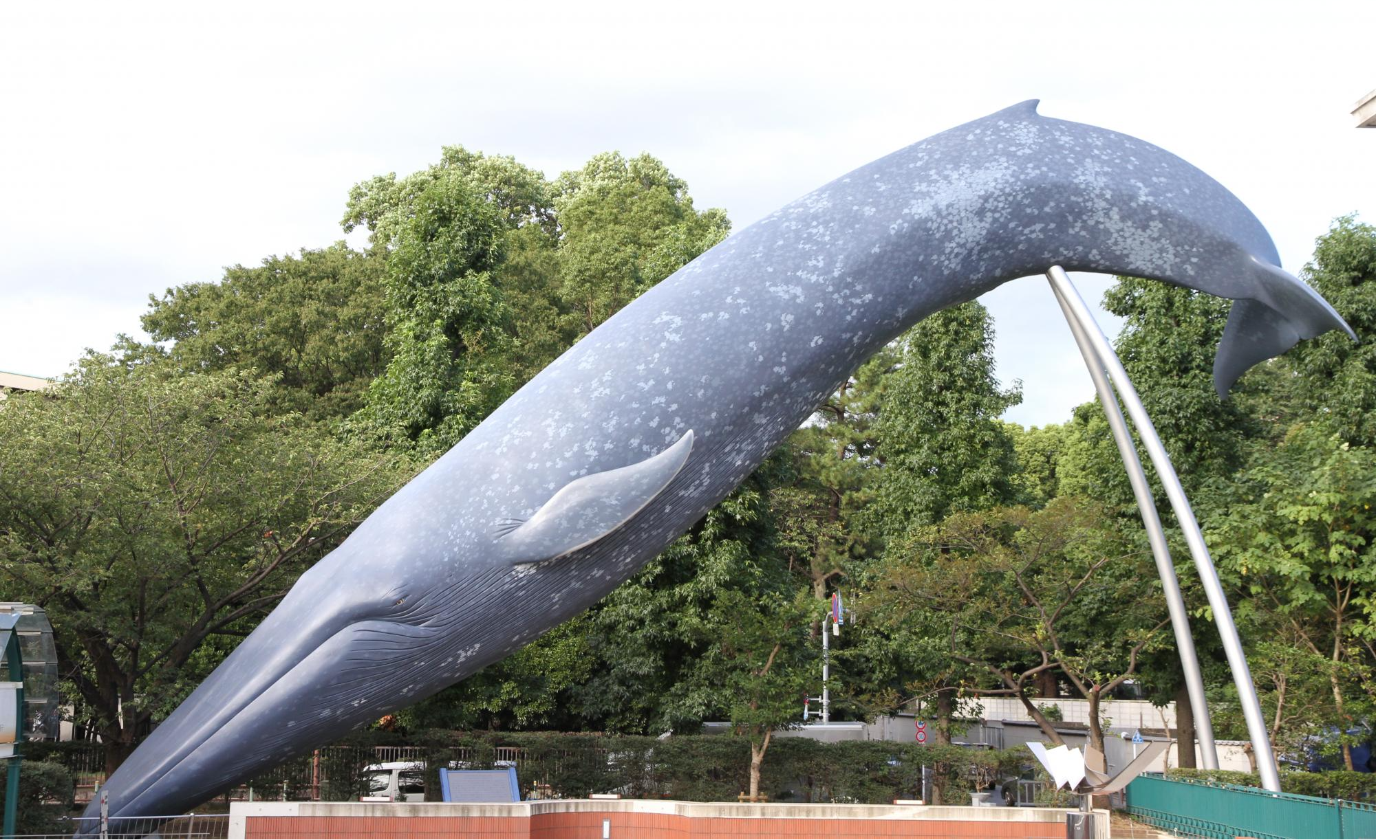 国立科学博物館