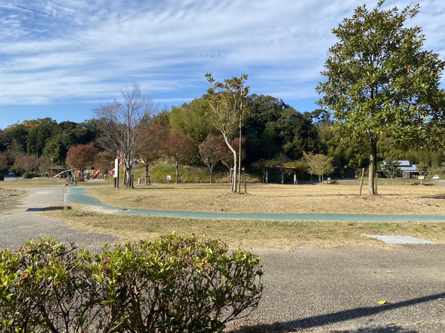 22世紀の丘公園
