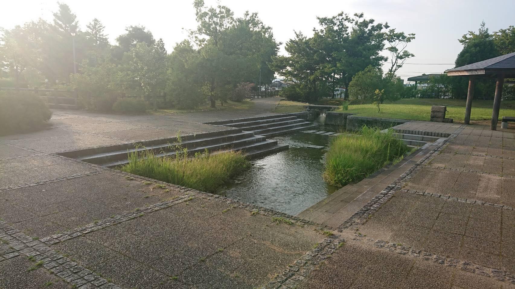 砺波チューリップ公園