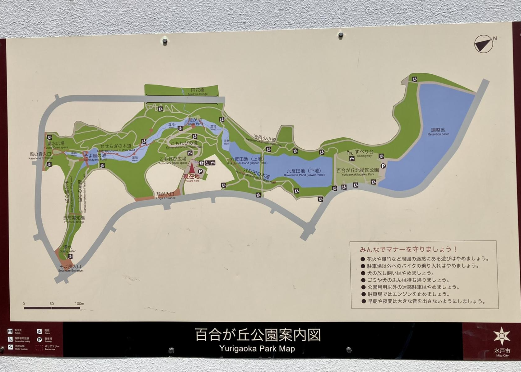 百合が丘公園・百合が丘北街区公園