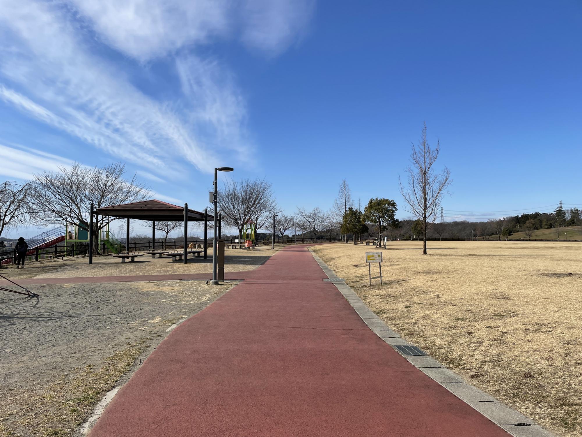 八王子山公園(太田市北部運動公園)