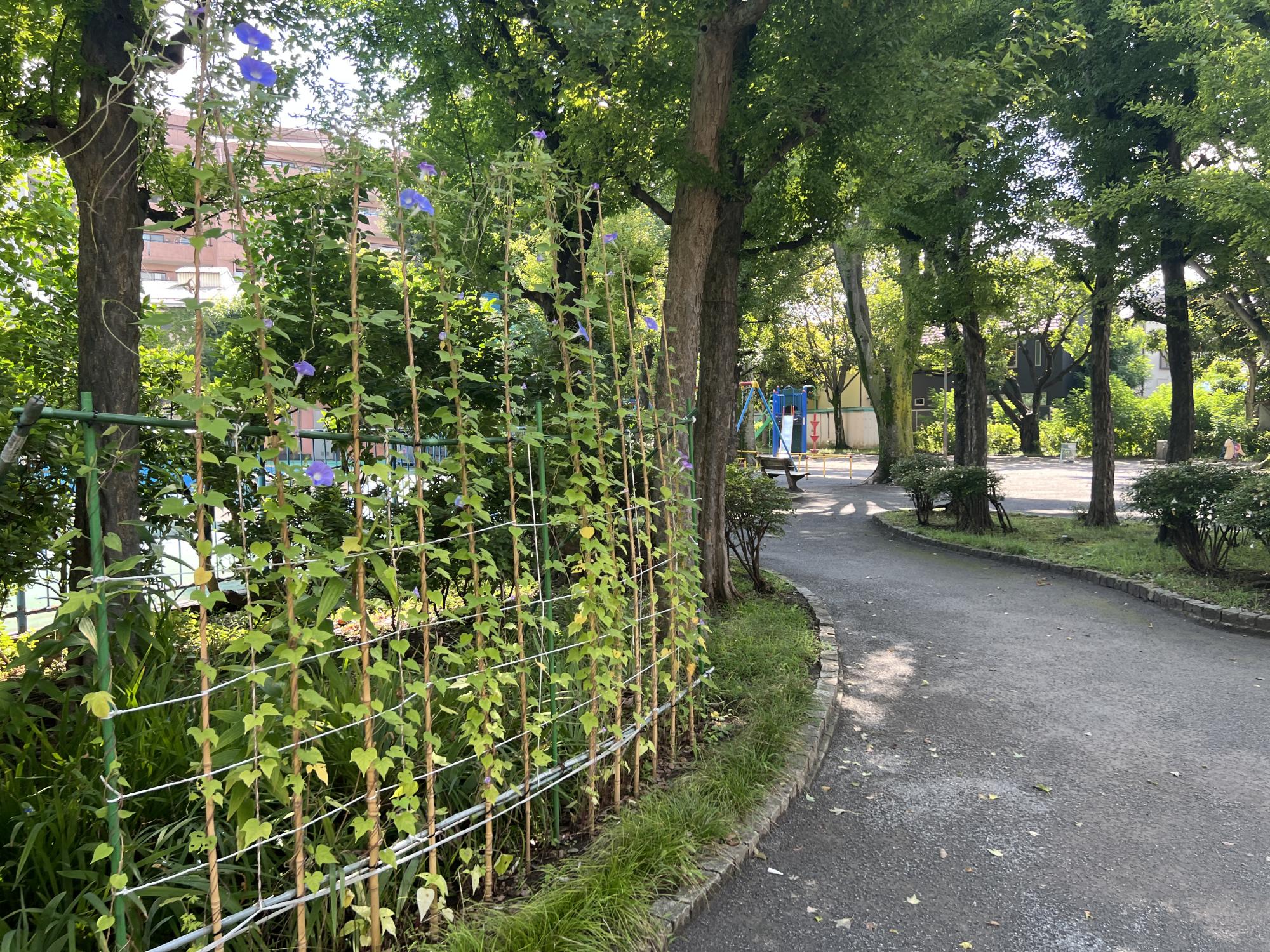 板橋区立東山公園