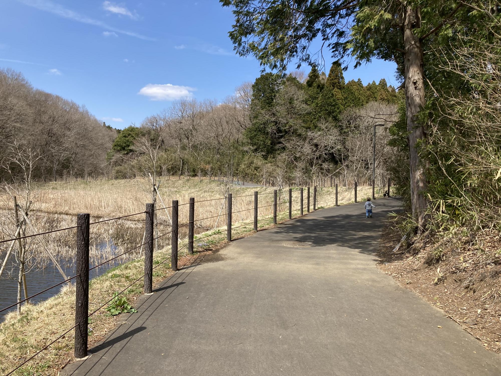 福ちゃんの森公園