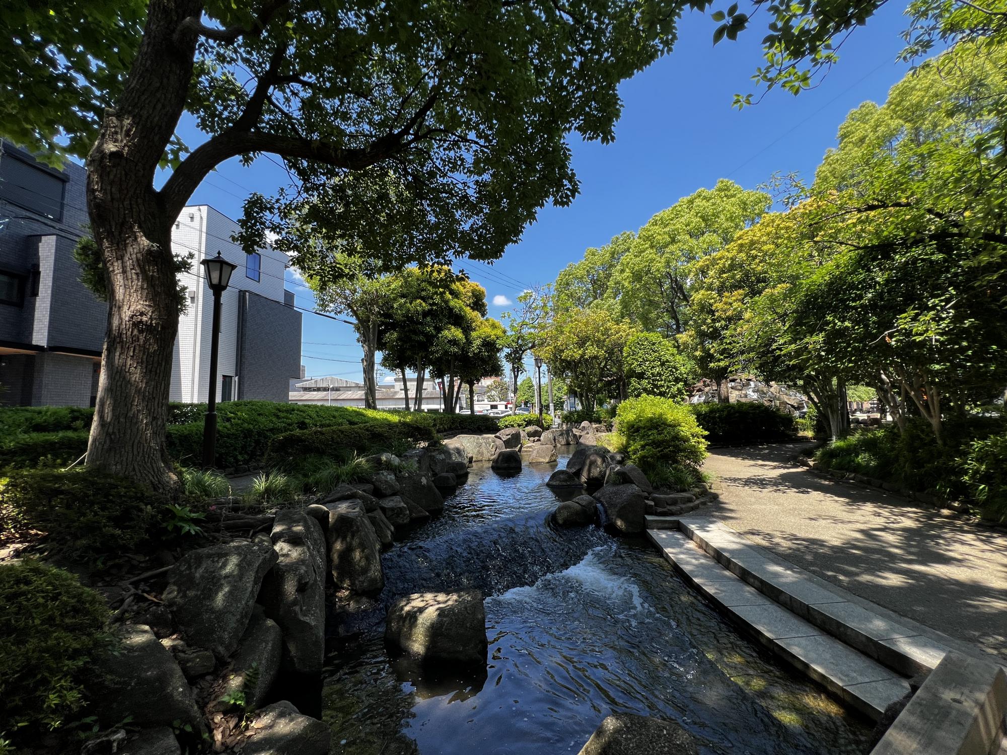 小松川境川親水公園