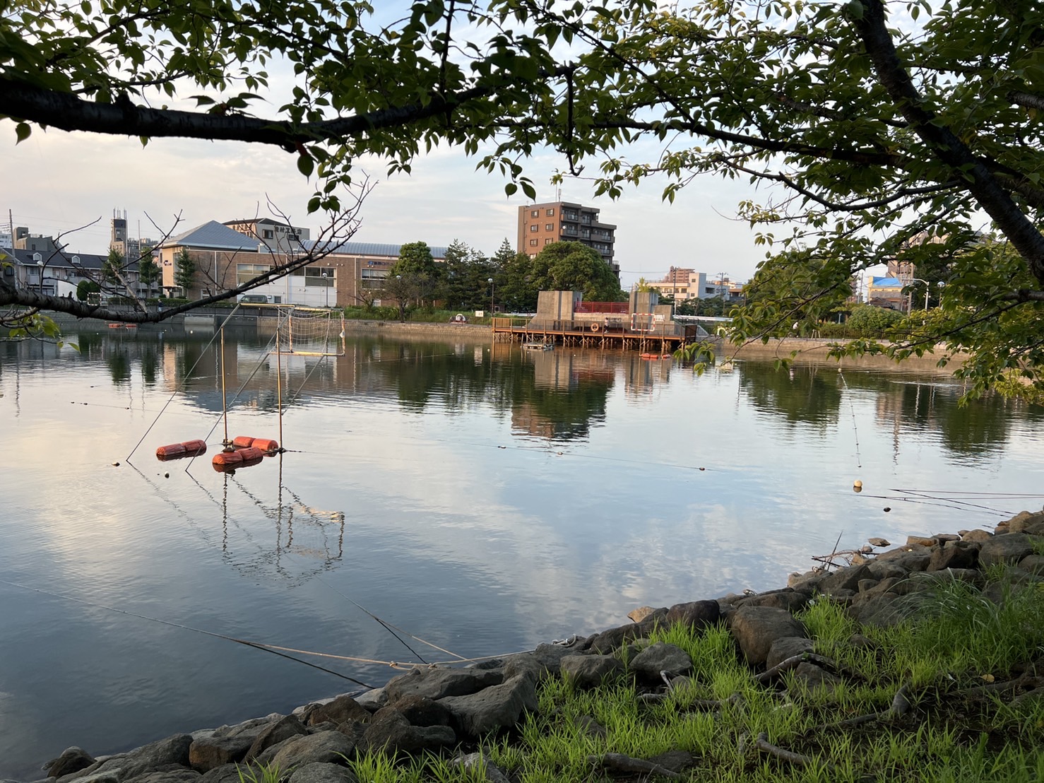 新左近川親水公園