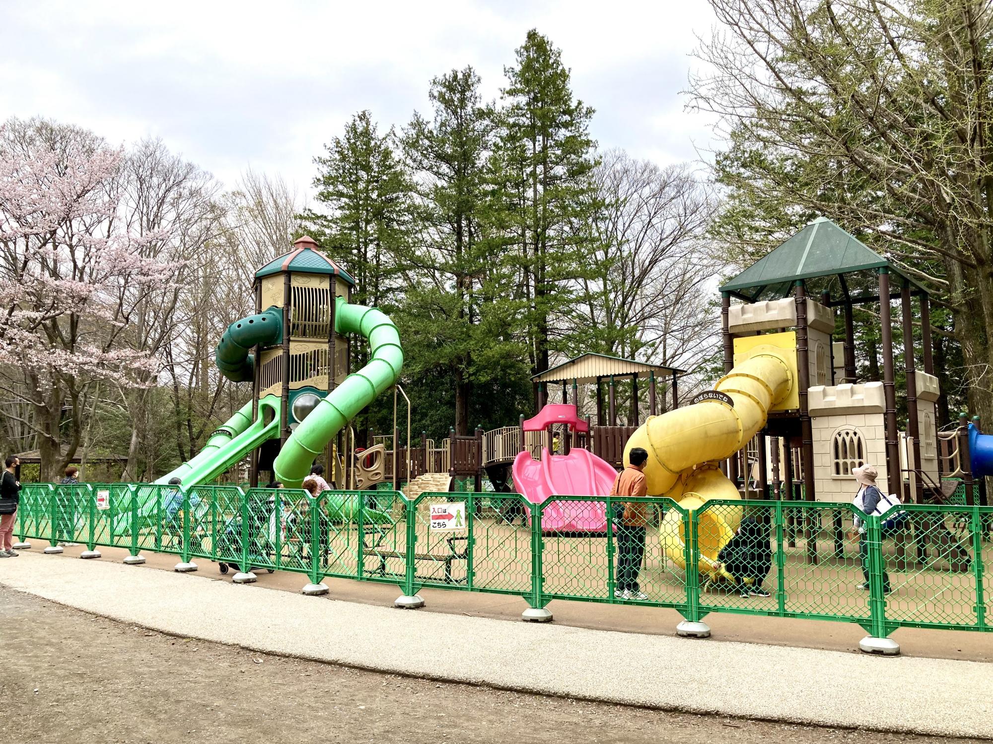 国営昭和記念公園