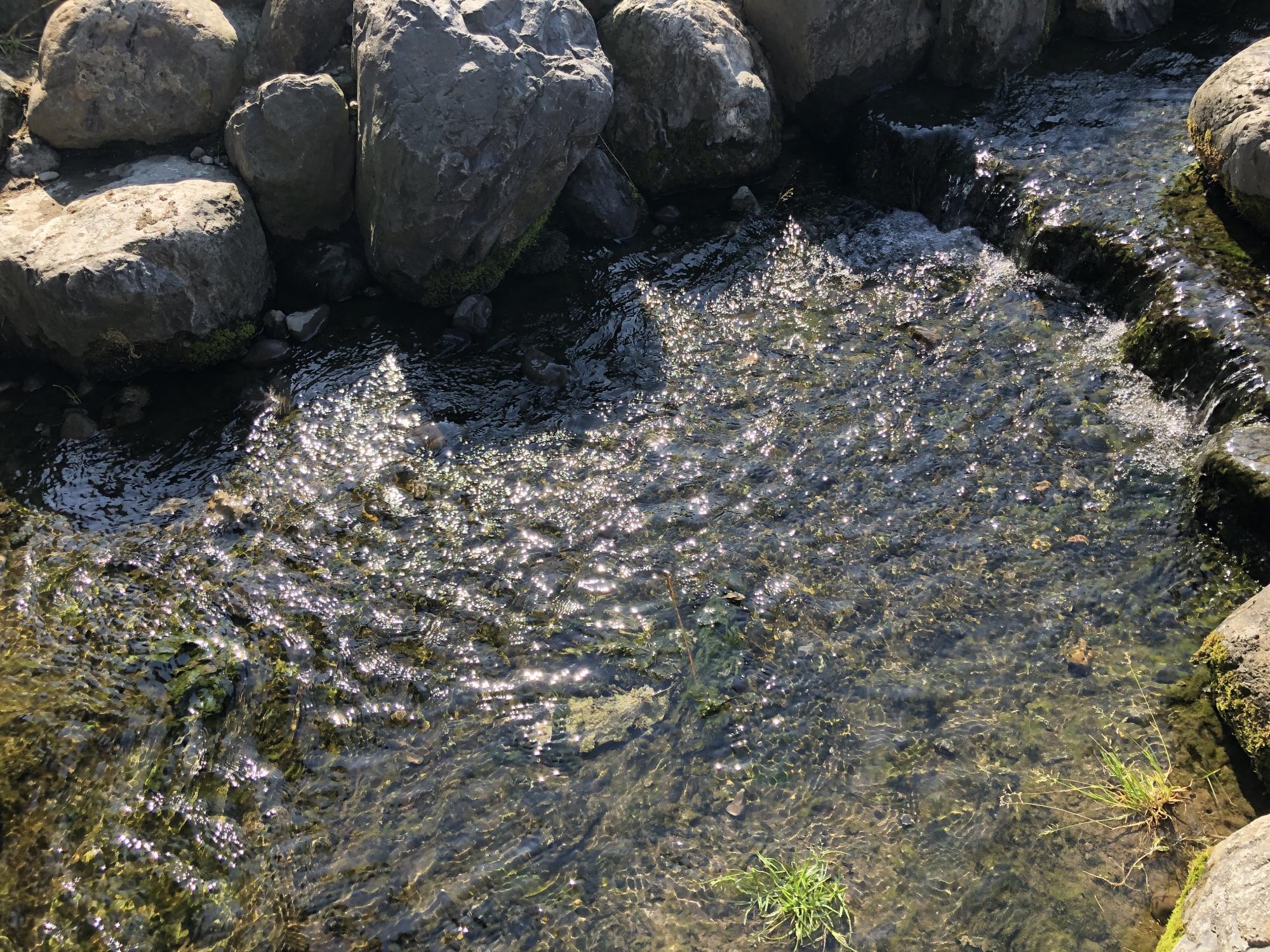 世田谷区立兵庫島公園