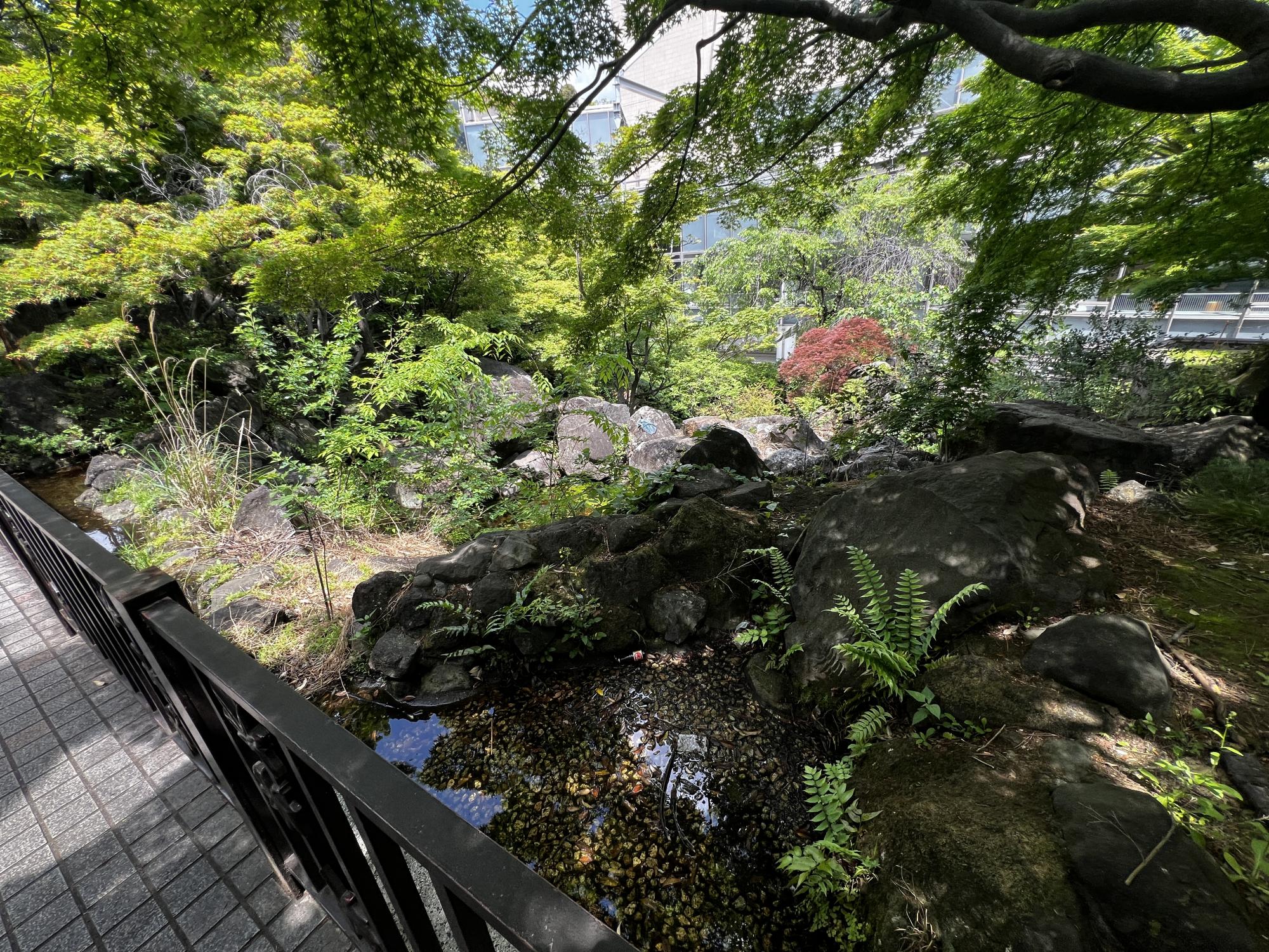 中野区立紅葉山公園