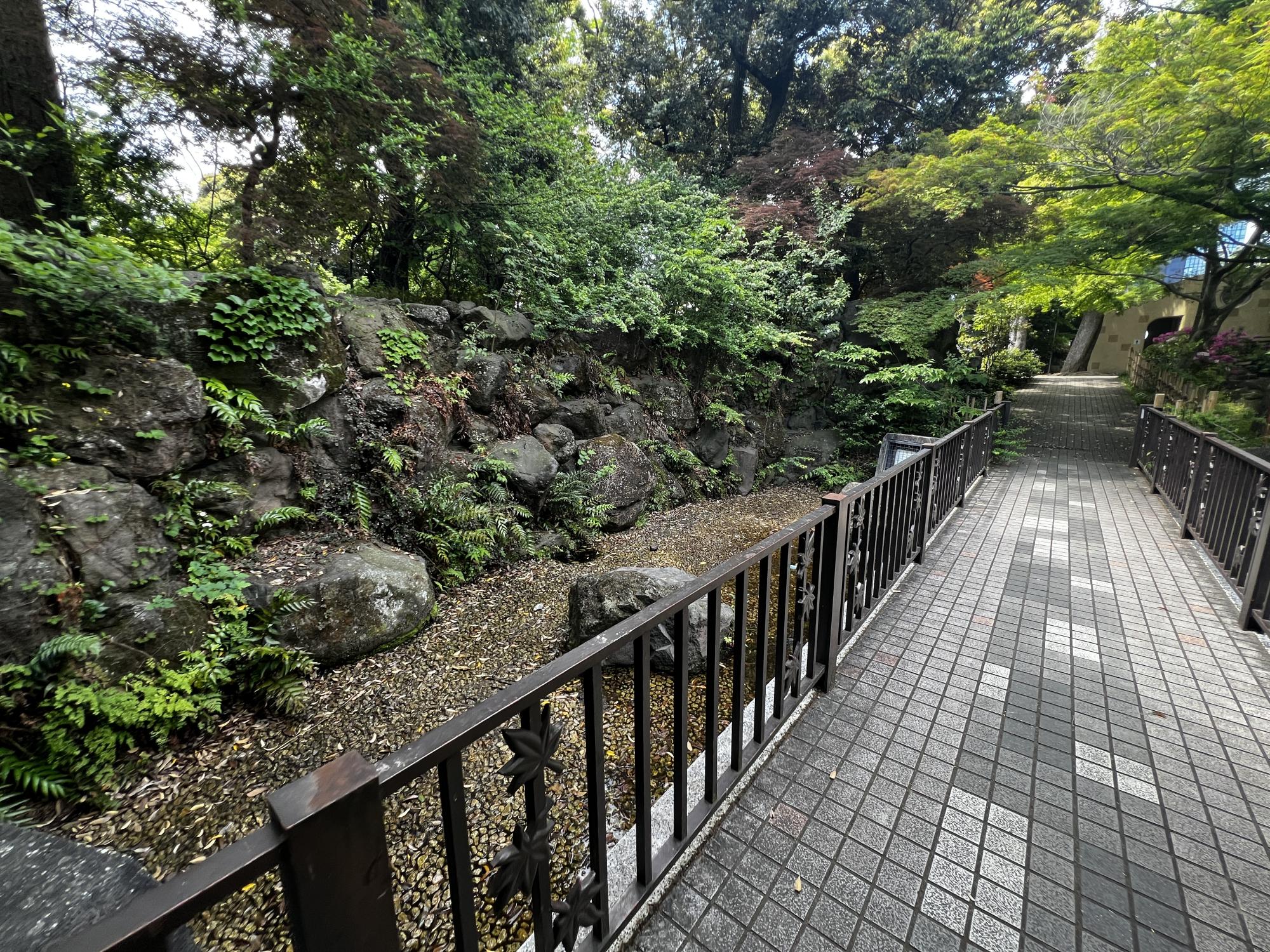中野区立紅葉山公園