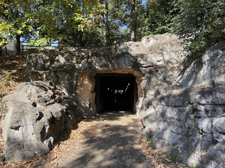 あいち健康の森公園