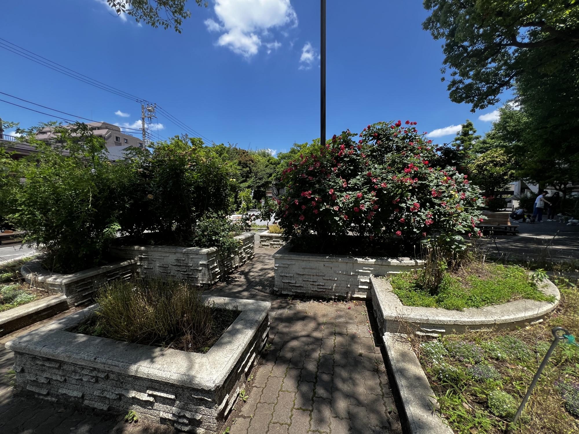 中央一丁目東公園