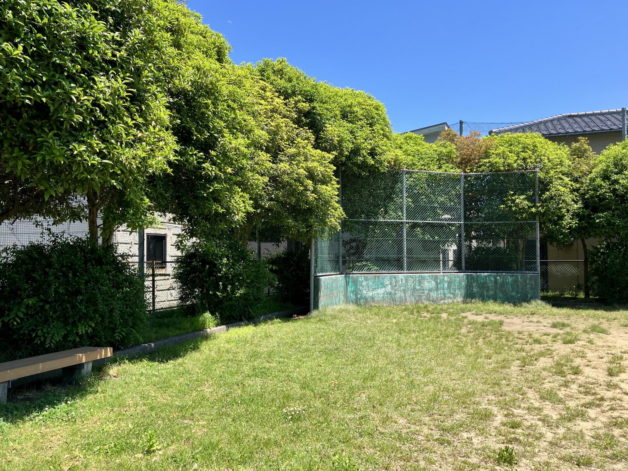 額新保中央公園