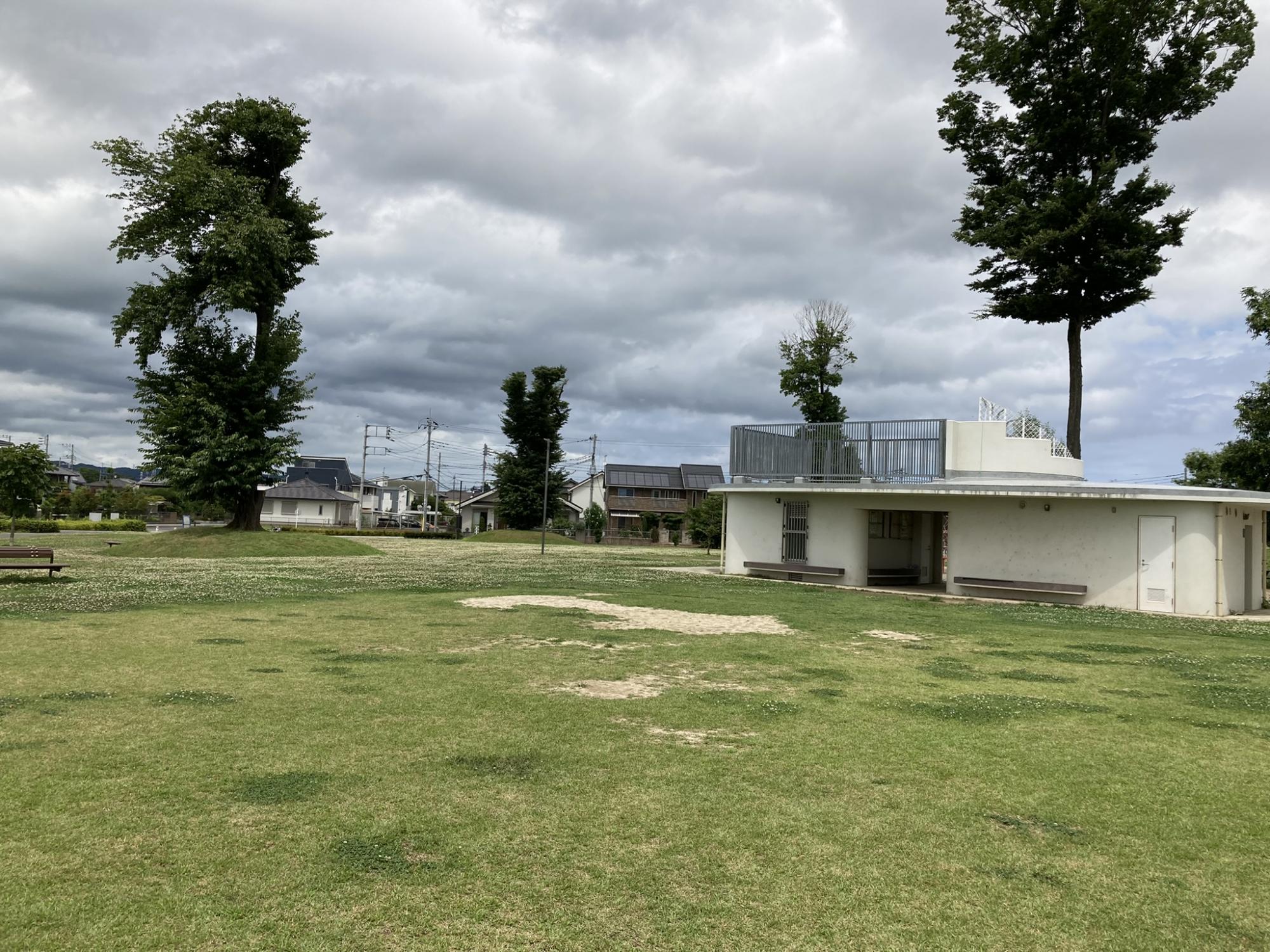 舟石川近隣公園