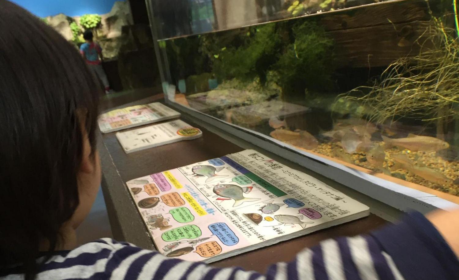 魚津水族館｜富山　魚津　おでかけ