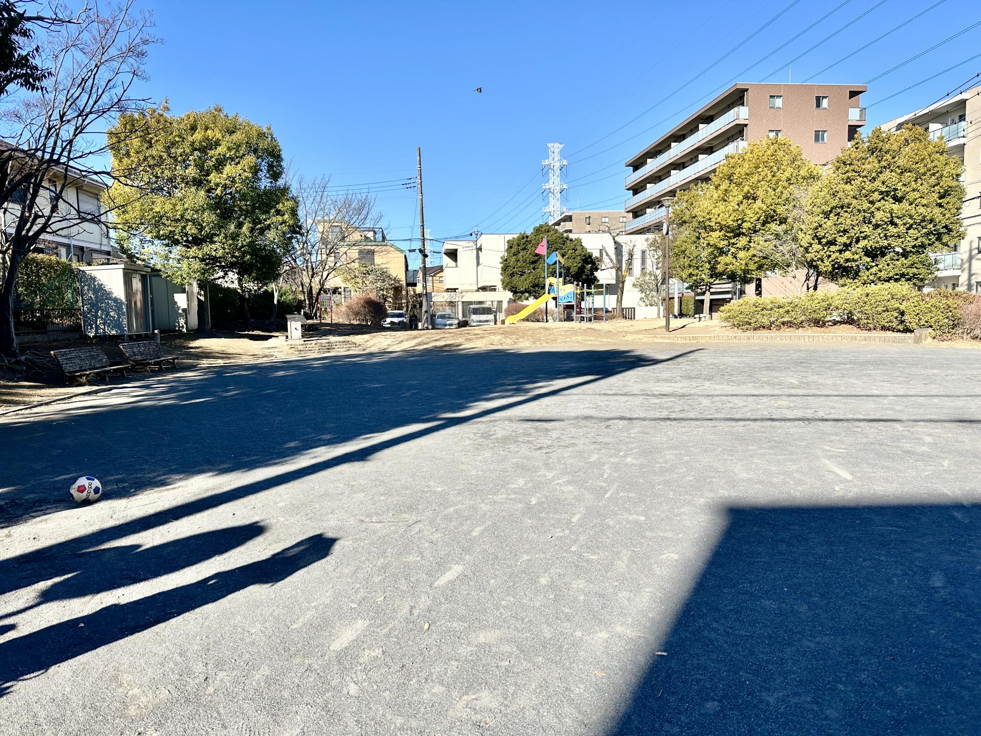 桜並木ほおずき公園