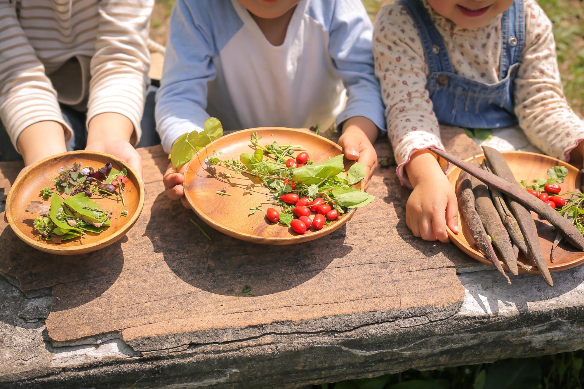富山森のこども園