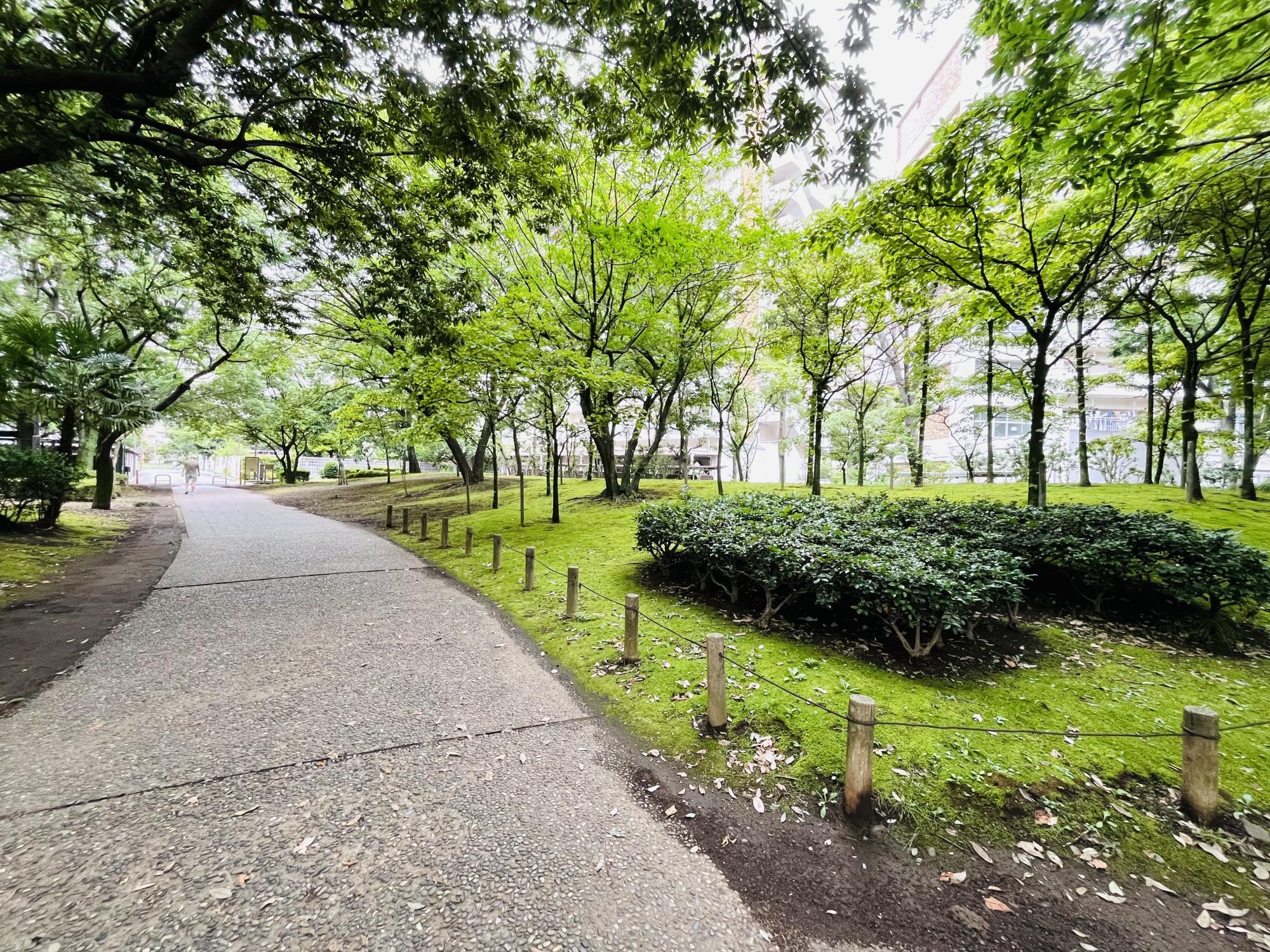 秋の陽公園