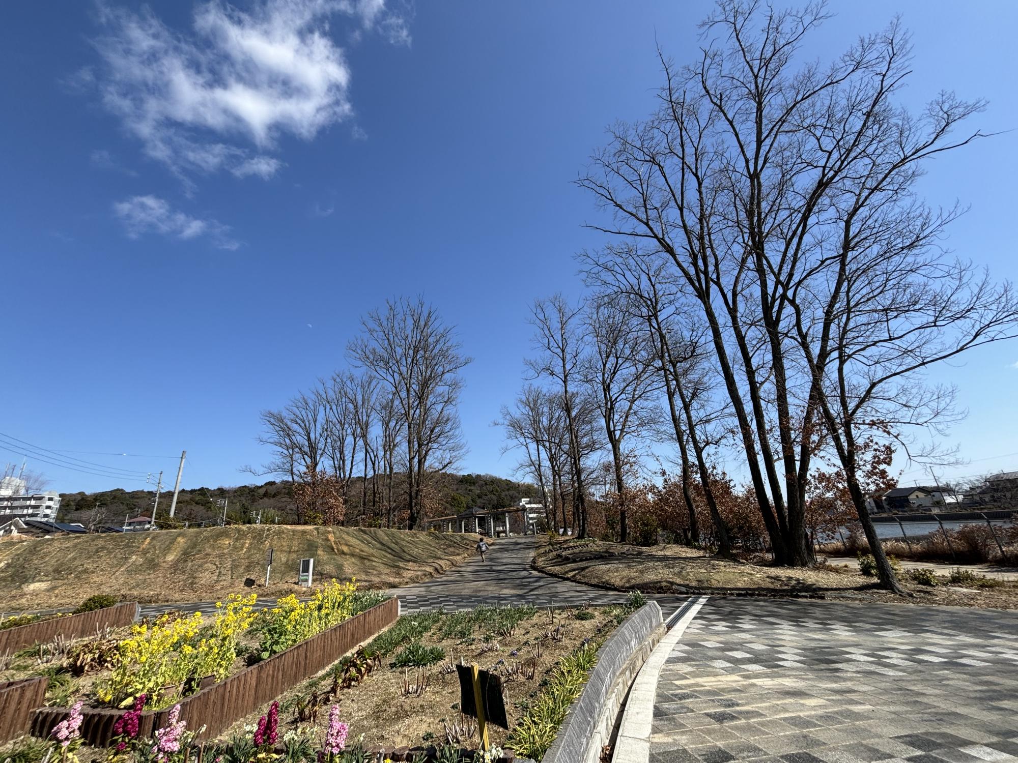 弁天池公園