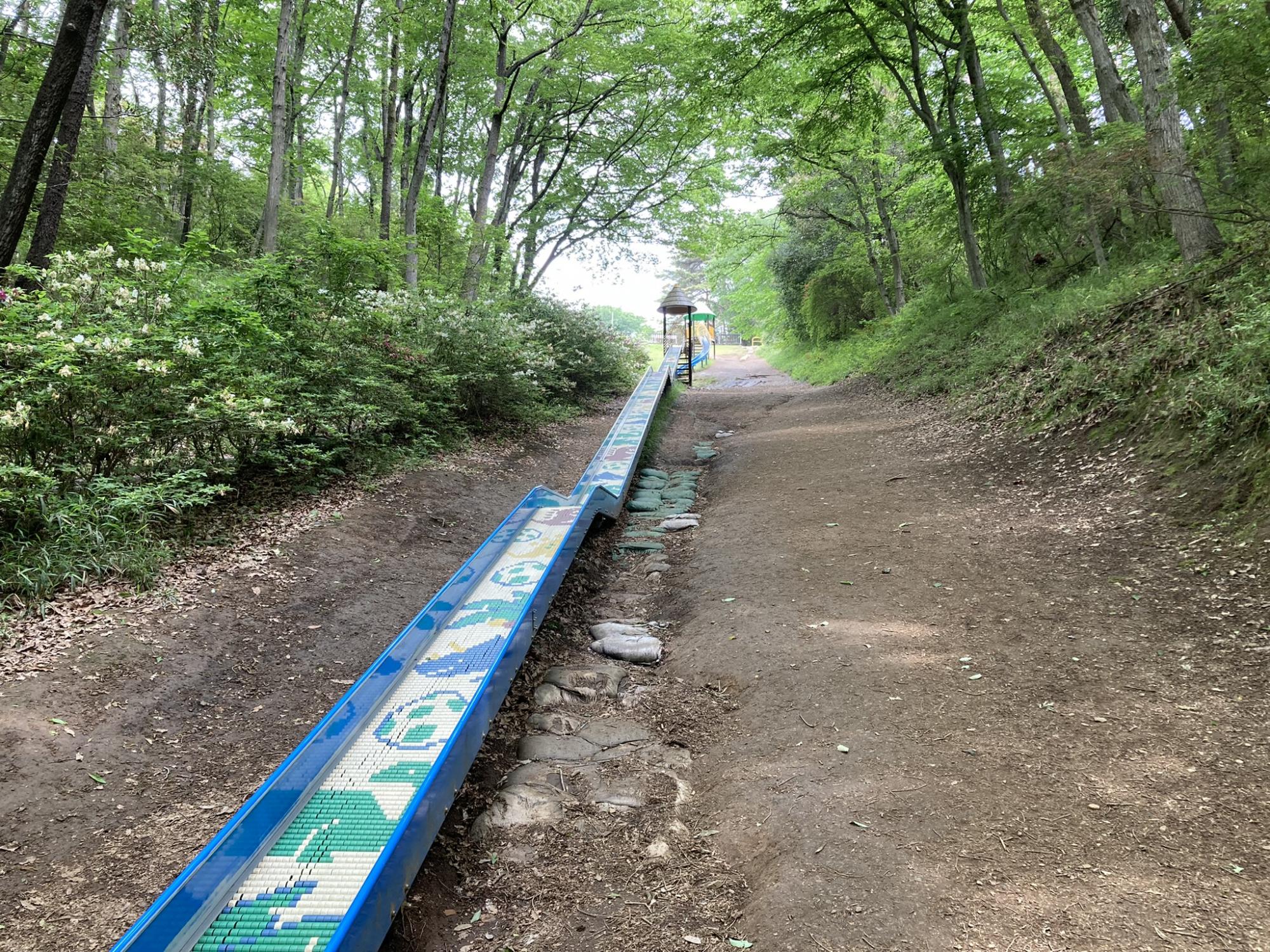 水戸市森林公園