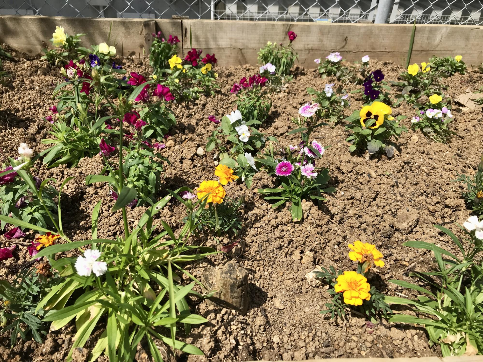 小禄ひまわり公園
