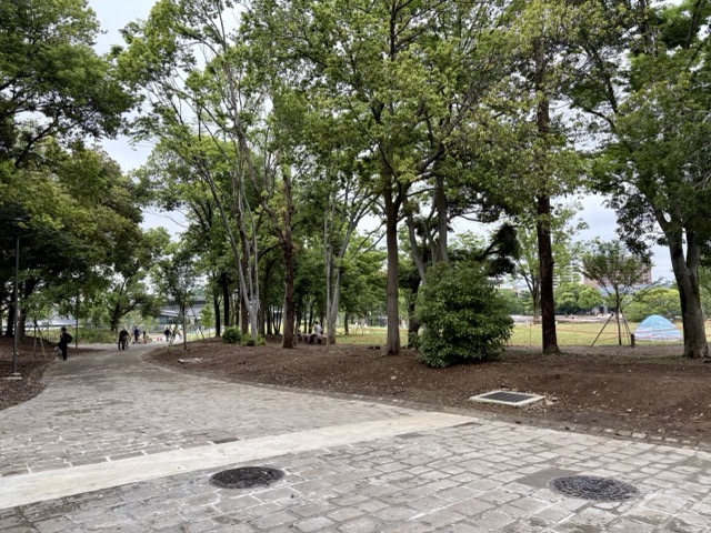 多摩中央公園